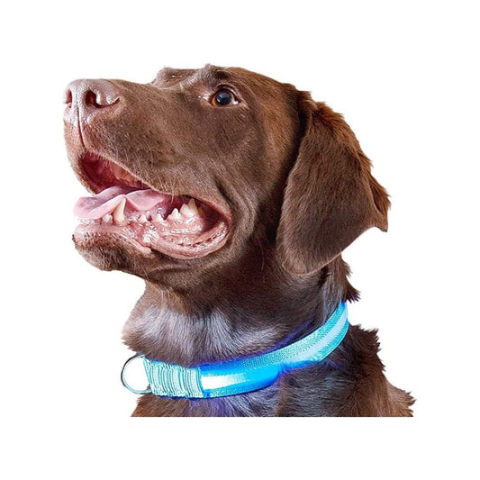 Dog Light Collar