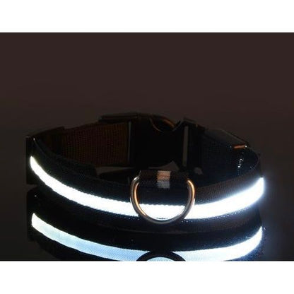 Dog Light Collar