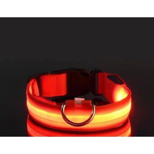 Dog Light Collar